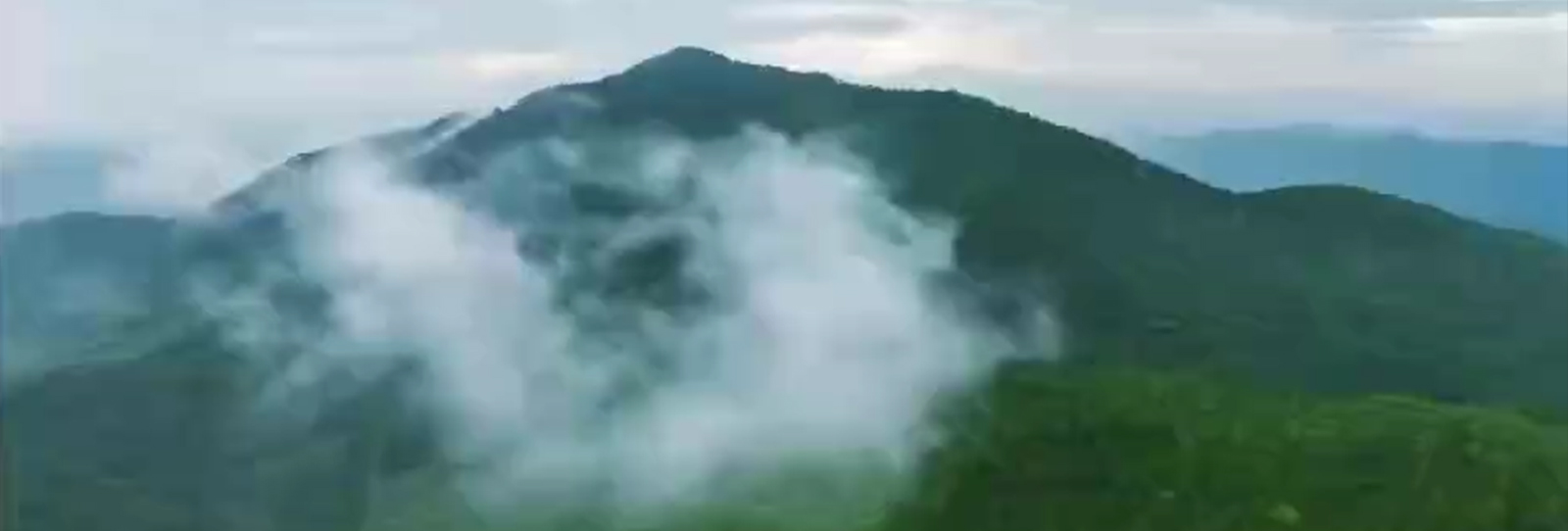 Corporate Promotional Video